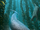 Odobenocetops