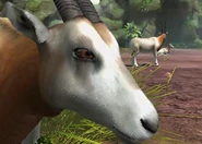 Zoo Tycoon reboot (2013)