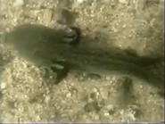 The Most Extreme (2002-2007)