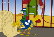 Toonimals! (2000)