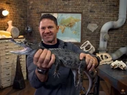 Deadly Dinosaurs (2018)