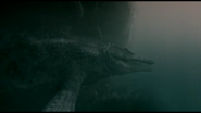 Sea Monsters (2003)