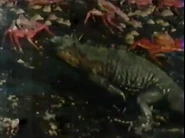 Birds of Paradox (1985)