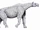 Paraceratherium