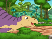 Go, Diego, Go! (2005-2011)