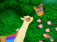 Go, Diego, Go! (2005-2011)