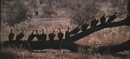 King Elephant (1971)