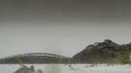 Wild Brazil (2014)