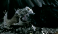 Crime Scene Creatures (2006)