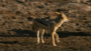 Earth's Greatest Spectacles (2016)