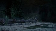 Elf (2003)
