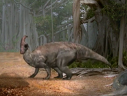 Sky Monsters (2005)
