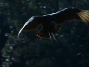 The Most Extreme (2002-2007)