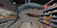 Jane (2023)