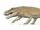 Saurosuchus