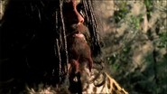 Walking with Cavemen (2003)