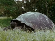 The Most Extreme [2002-2007]