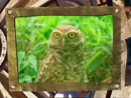 Crashbox (1999-2000)