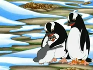 Go, Diego, Go! (2005-2011)