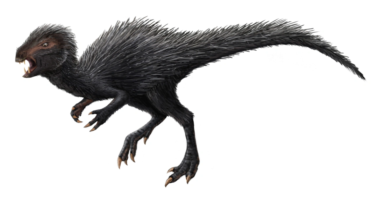 Heterodontosaurus