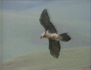 Madison's Adventures: Growing Up Wild (1992-1993)