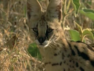 The Most Extreme (2002-2007)