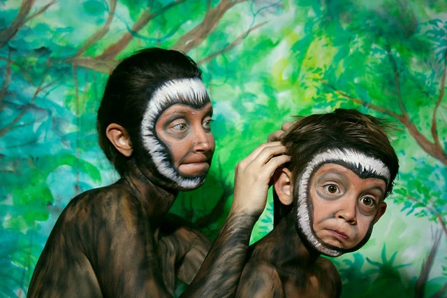 Apidium NatureRules1 Wiki Fandom