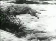 Congorilla (1932)