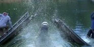 Croc (2007)