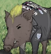 Animals. (2016-2018)