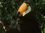 Life on Earth (1979)