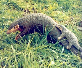 61970df41ac6e208c9fd2a0ac9dfe478