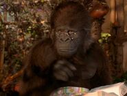 George of the Jungle (1997)