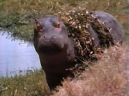 One Man's Kenya (1990)