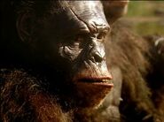 Walking with Cavemen (2003)