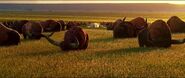 The Good Dinosaur (2015)