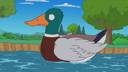 The Simpsons (1989-)