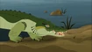 Nile Crocodile