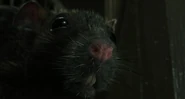 Ant-Man (2015)