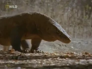 Hidden Worlds (2007)