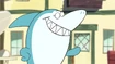 Great White Shark