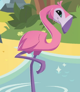 Animal Jam (2010)