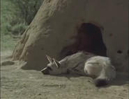 Mysterious Castles of Clay (1978)