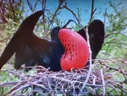 The Ocean Mosaic (1999)