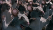 Cats and Dogs (2001)