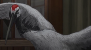 Golden Kamuy (2018)