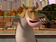 The Penguins of Madagascar (2008-2013)