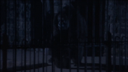 Twelve Monkeys (1995)