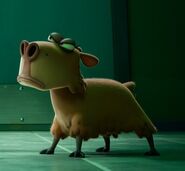 Night of the Zoopocalypse (2024)