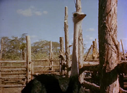 Ivory Hunter (1951)